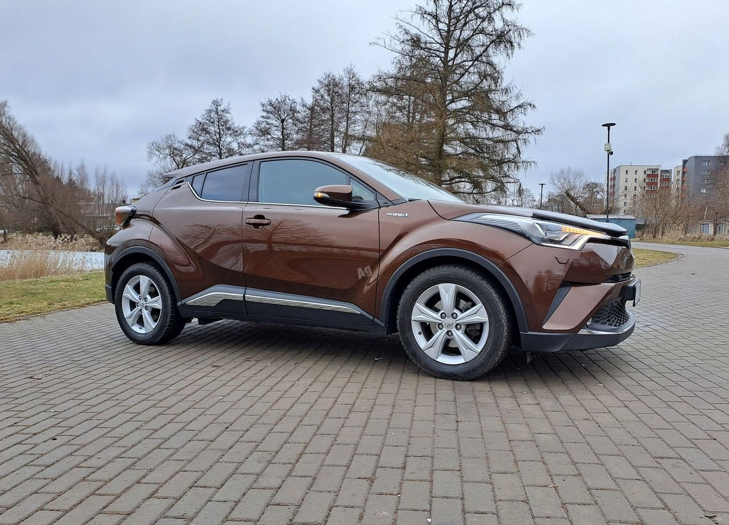 Toyota C-HR Benzinas/Elektra 2017 m Visureigis